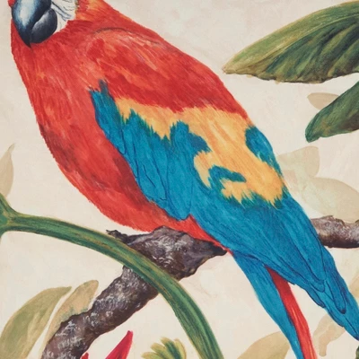 Saro Lifestyle Colorful Parrot Outdoor Pillow With Poly Fill, 18"x18", Multicolored 2 Saro Lifestyle Colorful Parrot Outdoor Pillow With Poly Fill, 18"x18", Multicolored - Image 2